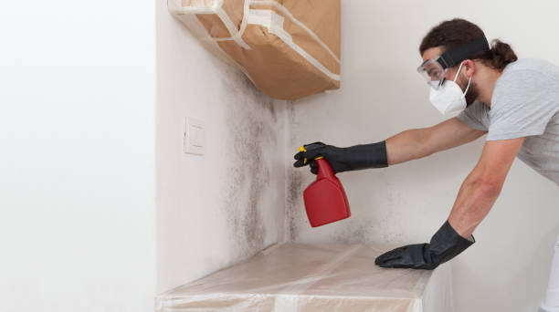 Professional Attic Mold Remediation technician working in Pittsboro, NC