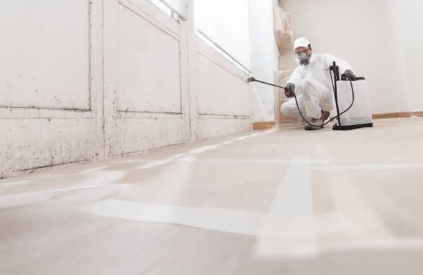 24/7 Emergency Attic Mold Remediation experts in Pittsboro, NC
